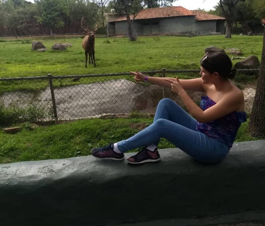 Place Zoológico Guadalajara