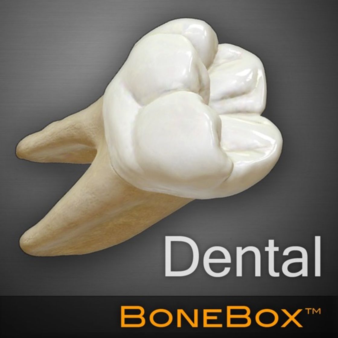 App BoneBox™ - Dental Lite