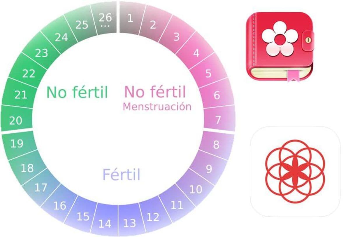 App Calendário menstrual.