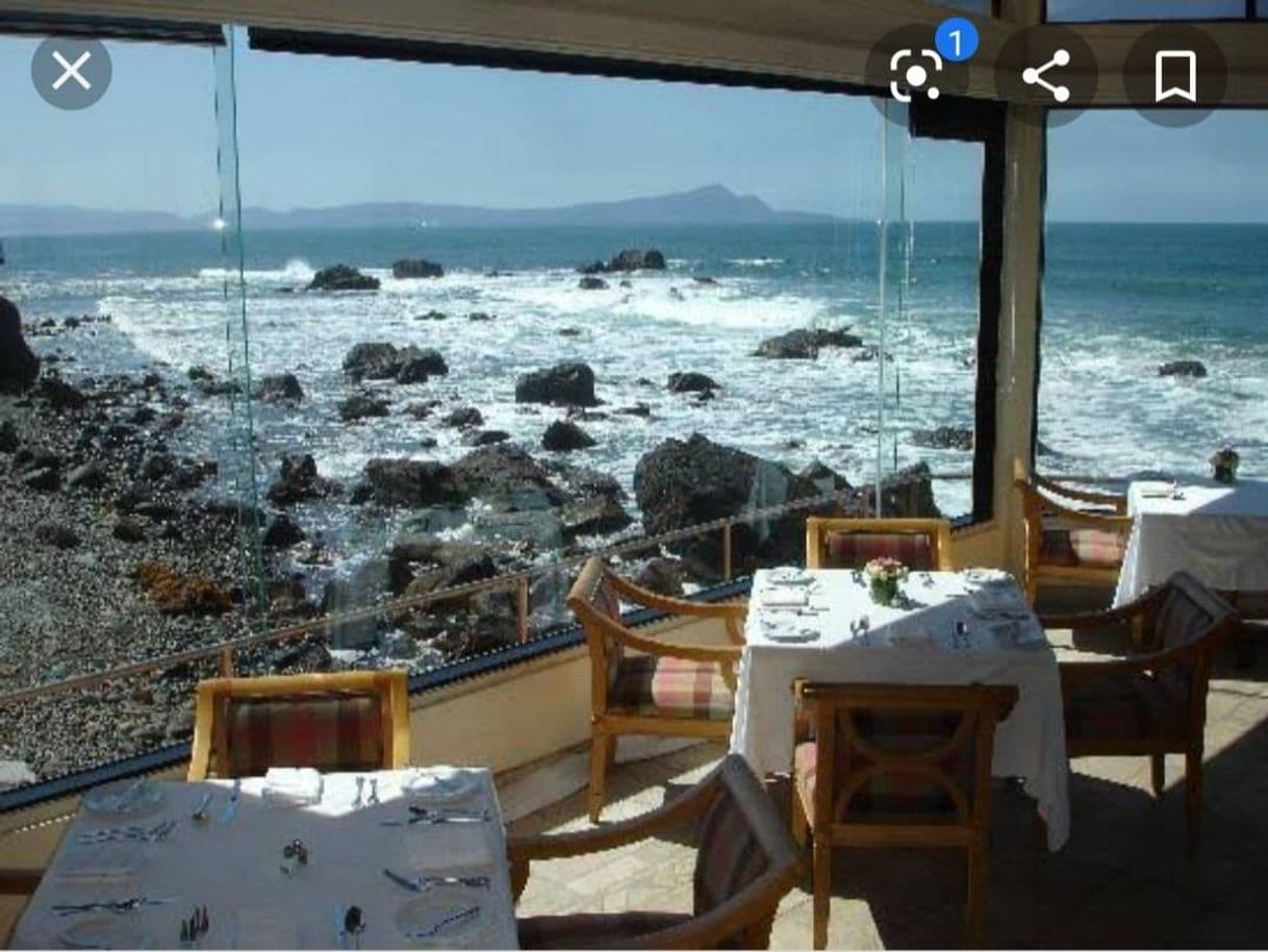 Restaurants Punta Morro