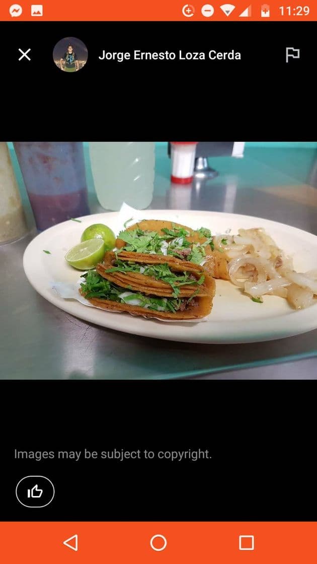 Restaurants Tacos Pichon