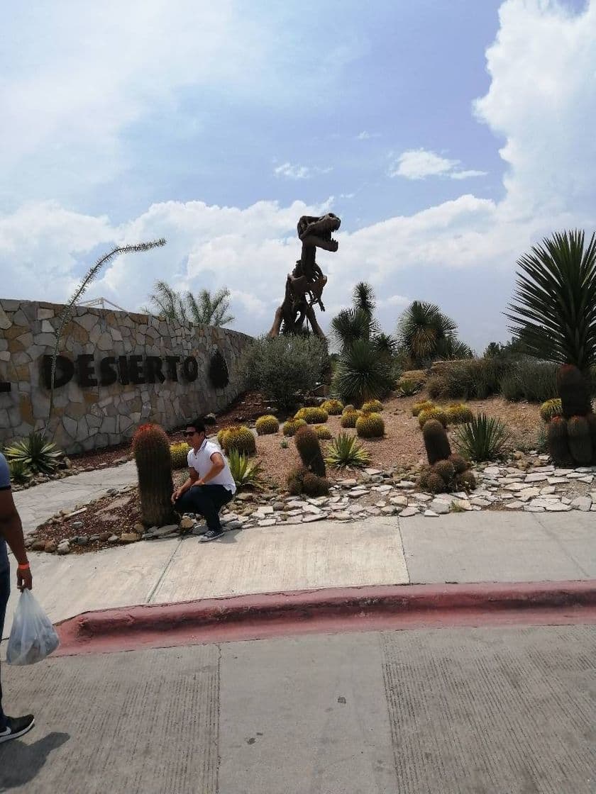 Place Boulevard Museo del Desierto