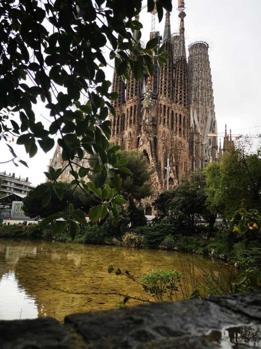 Lugar Basílica Sagrada Familia