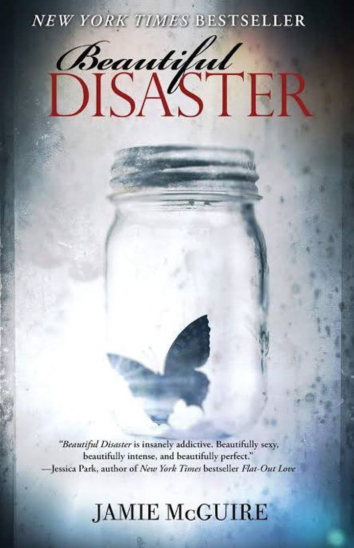 Book Beautiful Disaster: A Novel ( a Beautiful serie)