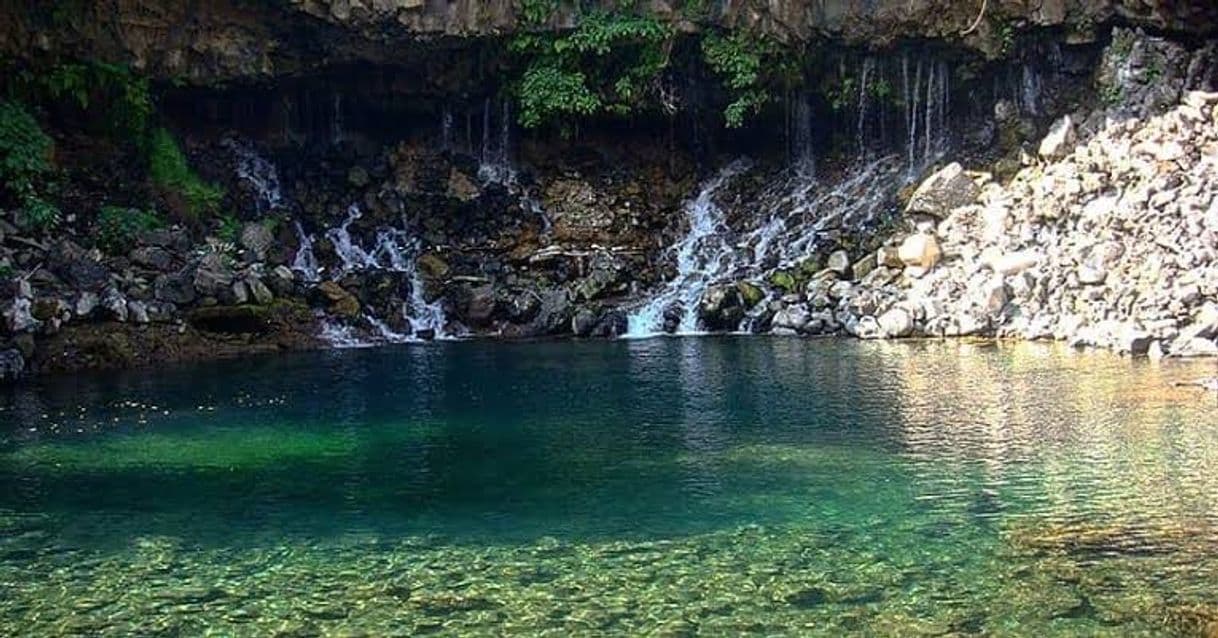 Lugar Balneario Ejidal El Bosque