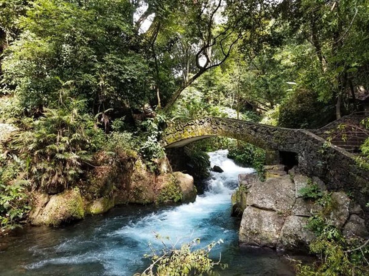 Lugar Cascadas Agua Azul