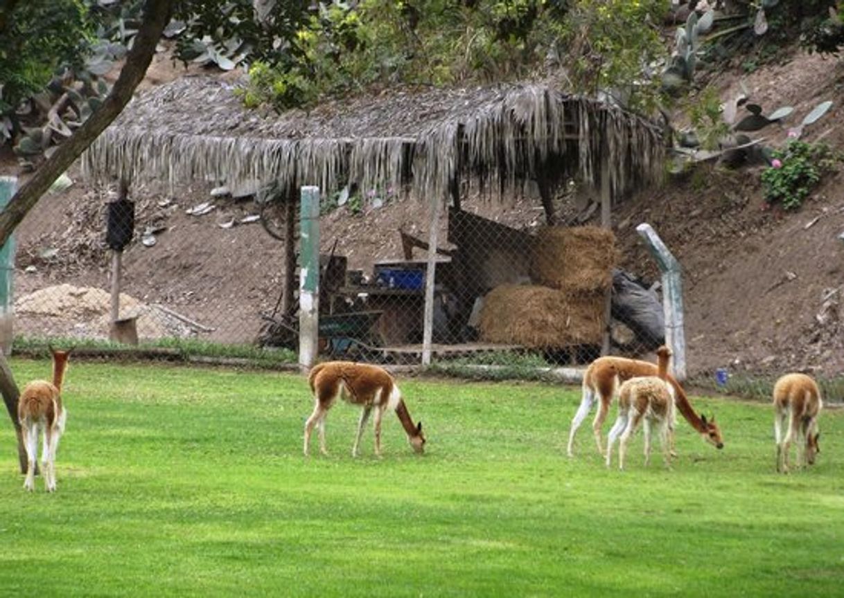 Lugar El Parque De Las Leyendas