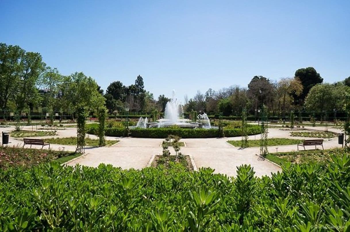 Lugar Jardines del Real o Viveros