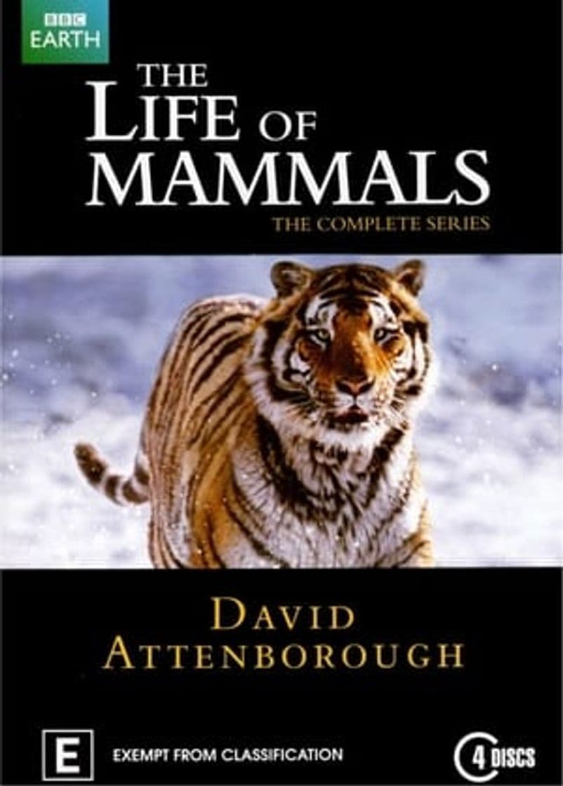 Serie The Life of Mammals