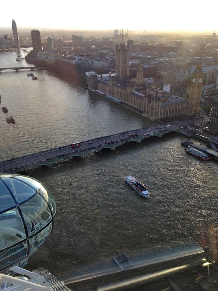 Place London Eye