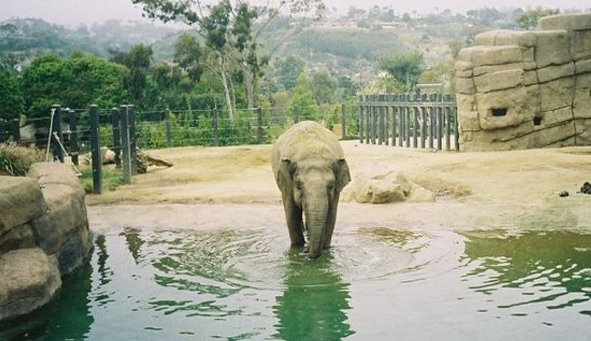 Lugar Santa Barbara Zoo