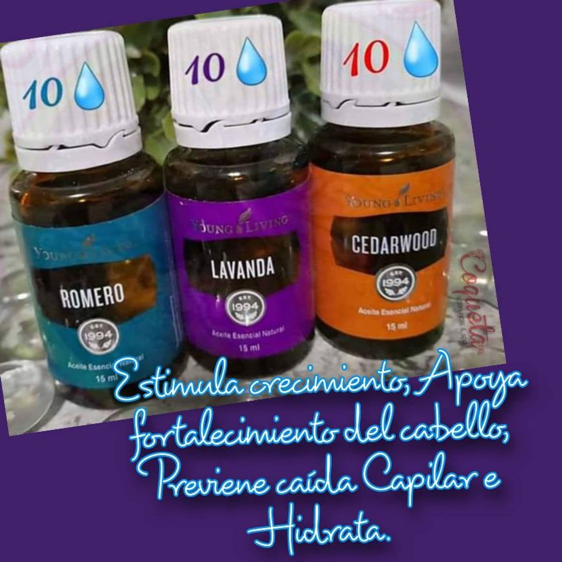 Moda Lavanda, Cedro y Romero de Young Living. 