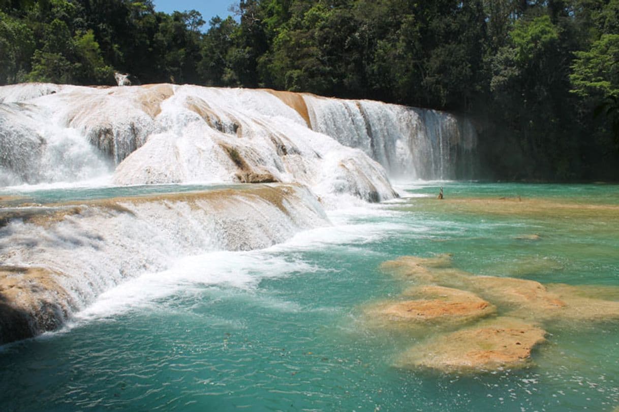 Place Agua Azul