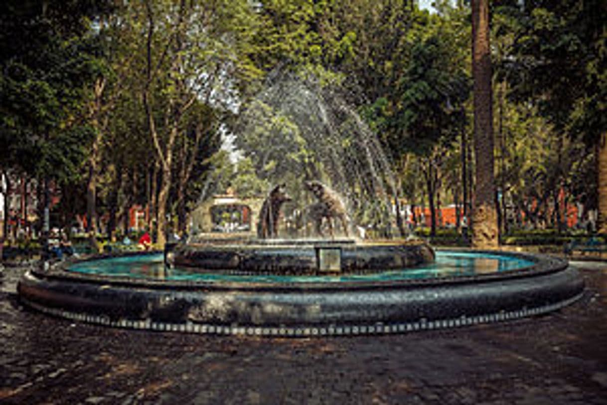 Place Coyoacán