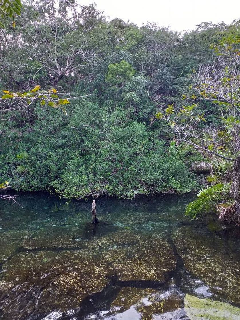 Place Cenote Azul