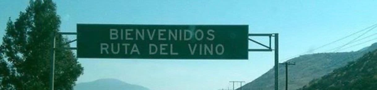 Lugar La Ruta del Vino