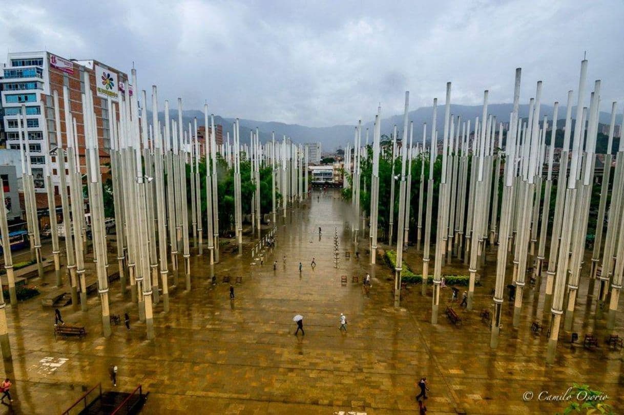 Lugar Parque De Las Luces