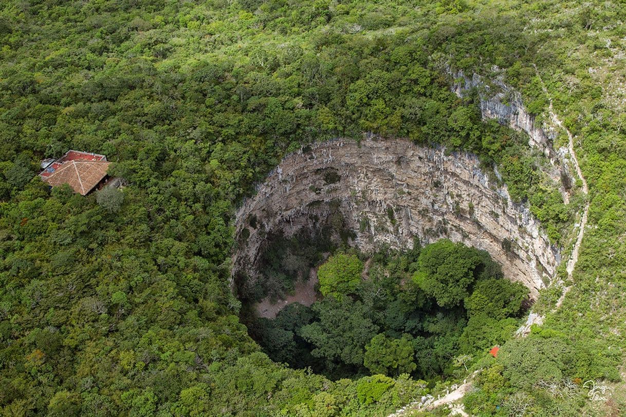 Lugar Sima de las Cotorras