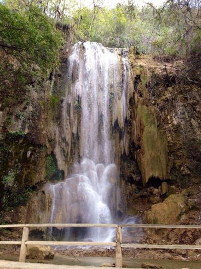 Lugar El Salto