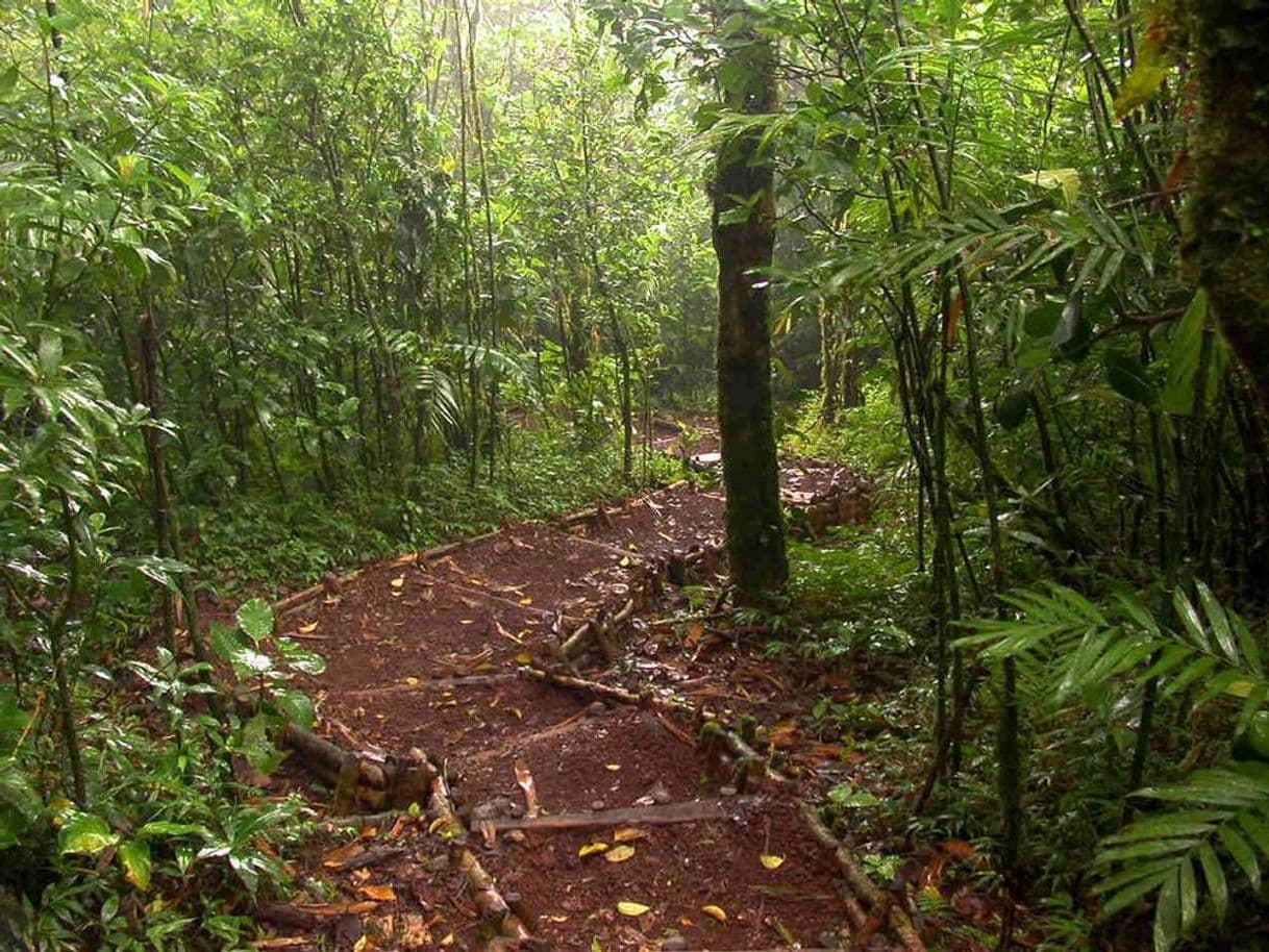 Place Reserva Natural Volcán Mombacho