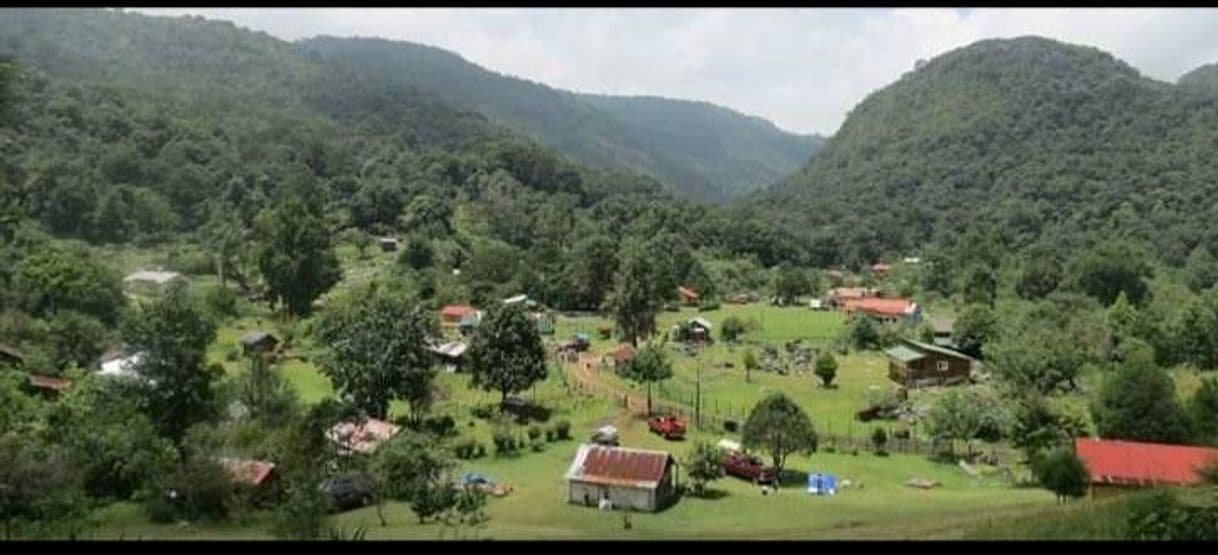 Lugar Reserva de La Biosfera El Cielo