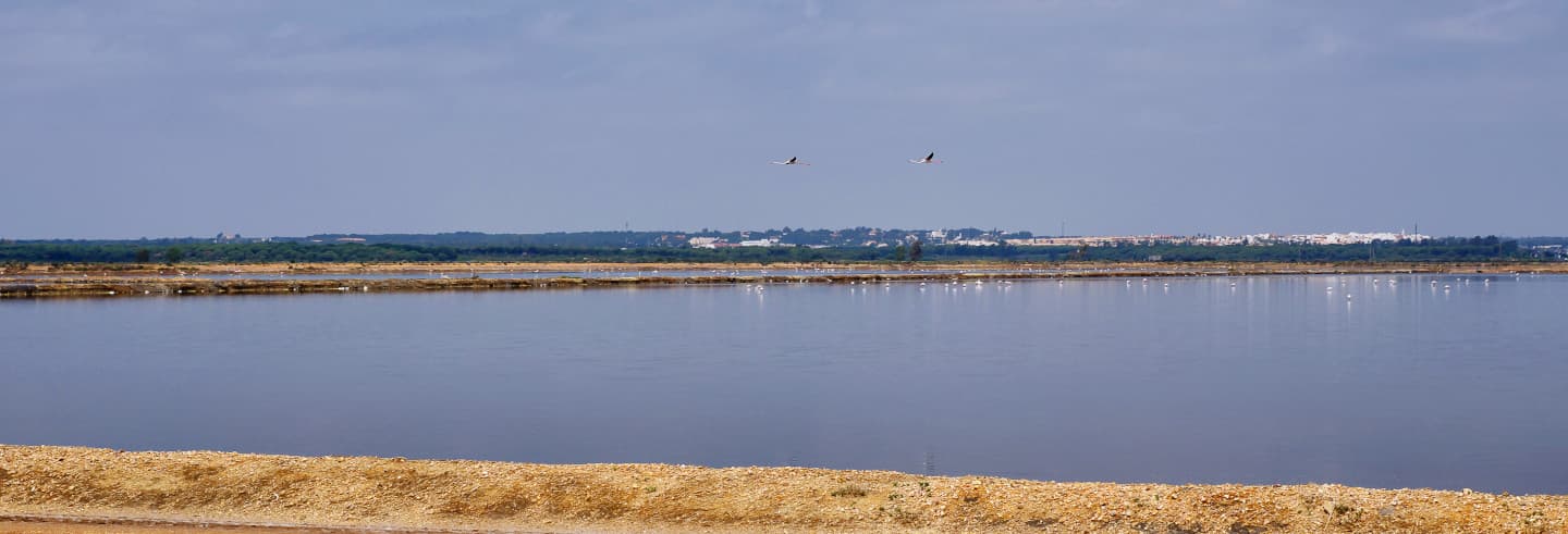 Place Saltes Island