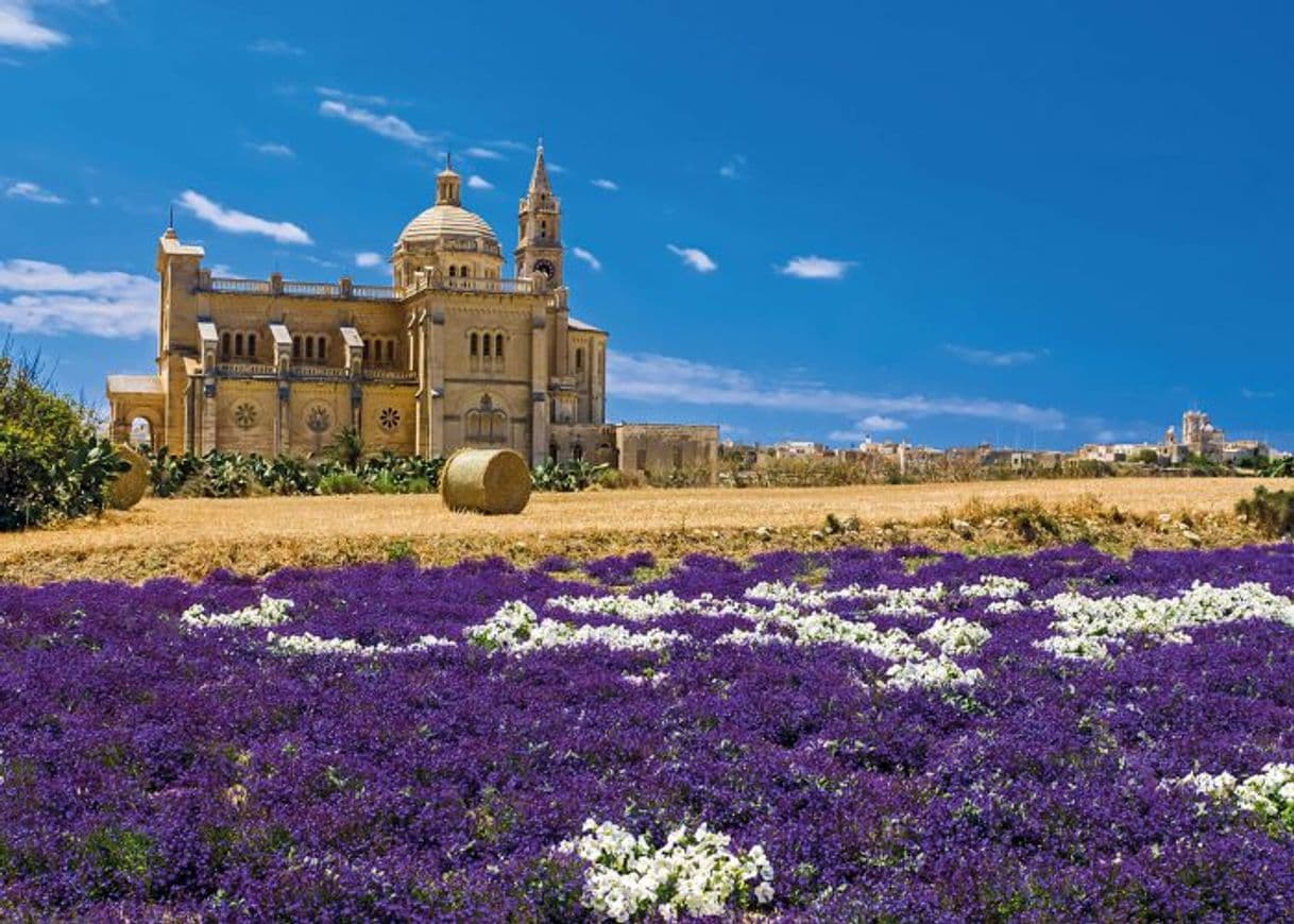 Place Ta' Pinu