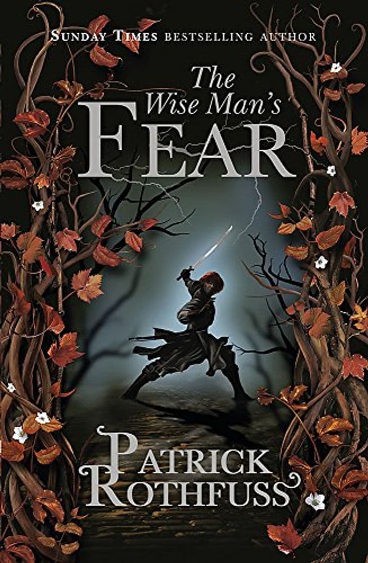 Book The Wise Man's Fear: The Kingkiller Chronicle: Book 2