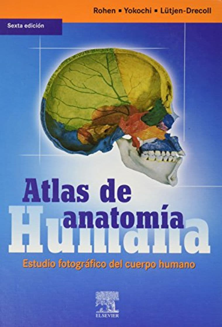 Libro Atlas de anatomia humana. estudio fotografico del cuerpo humano.