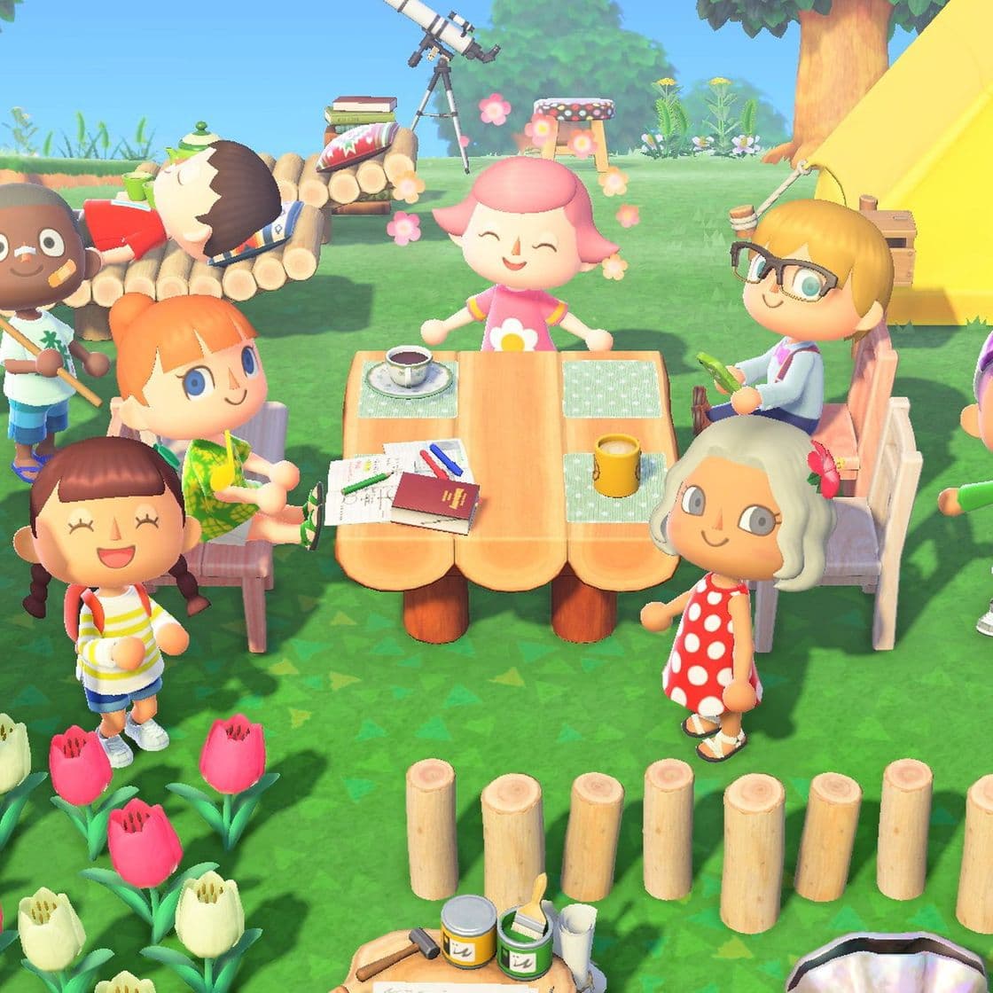 Videogames Animal Crossing