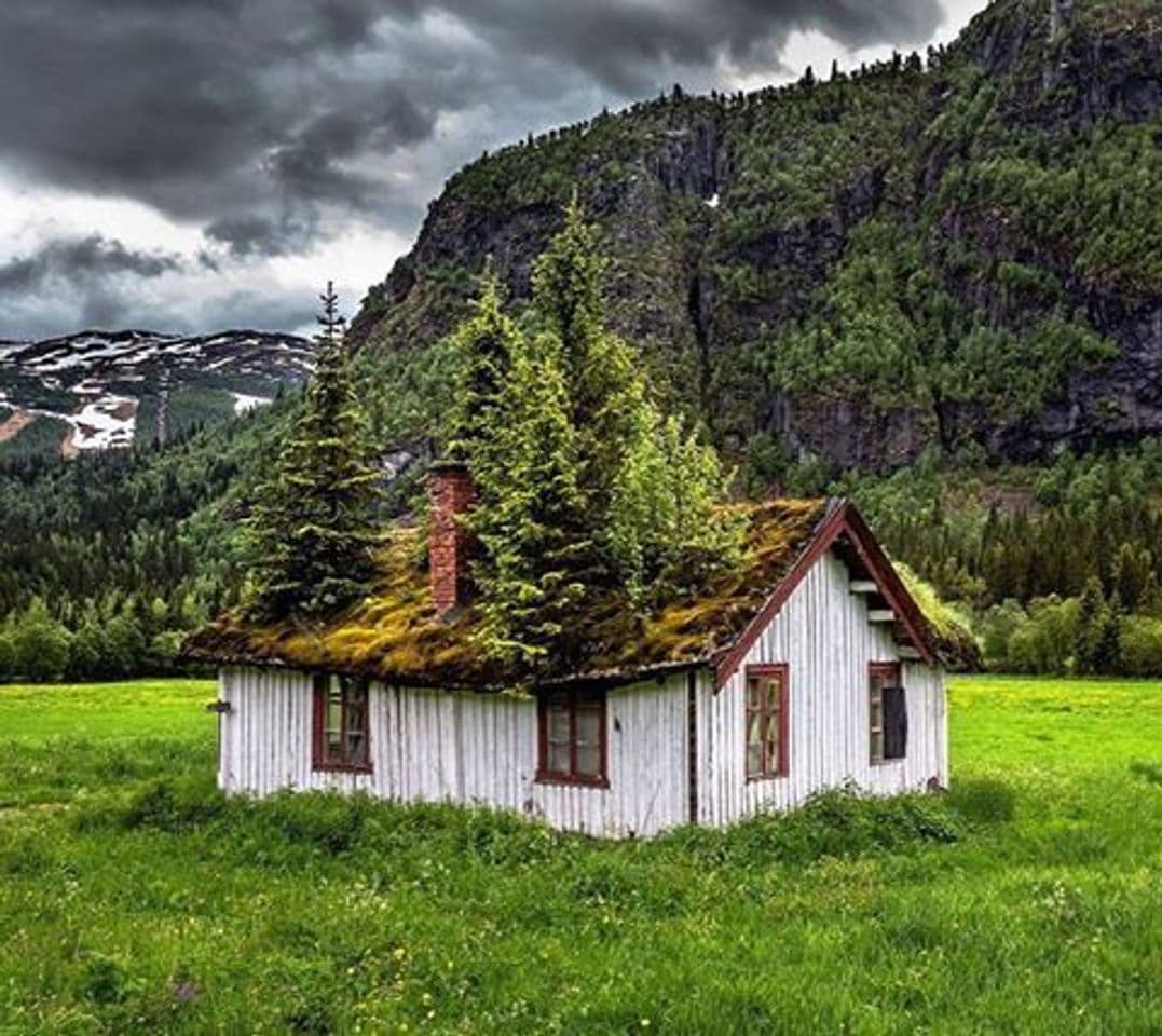 Lugar Hemsedal