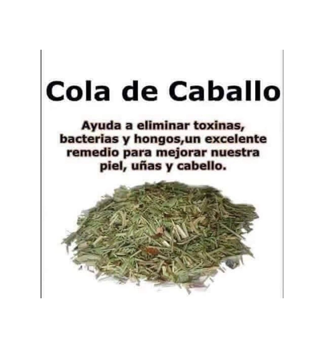 Producto Té de cola de caballo