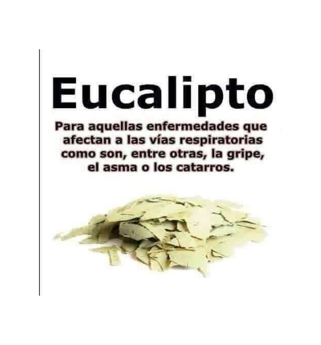 Product Aceite Esencial Eucalipto 100ml