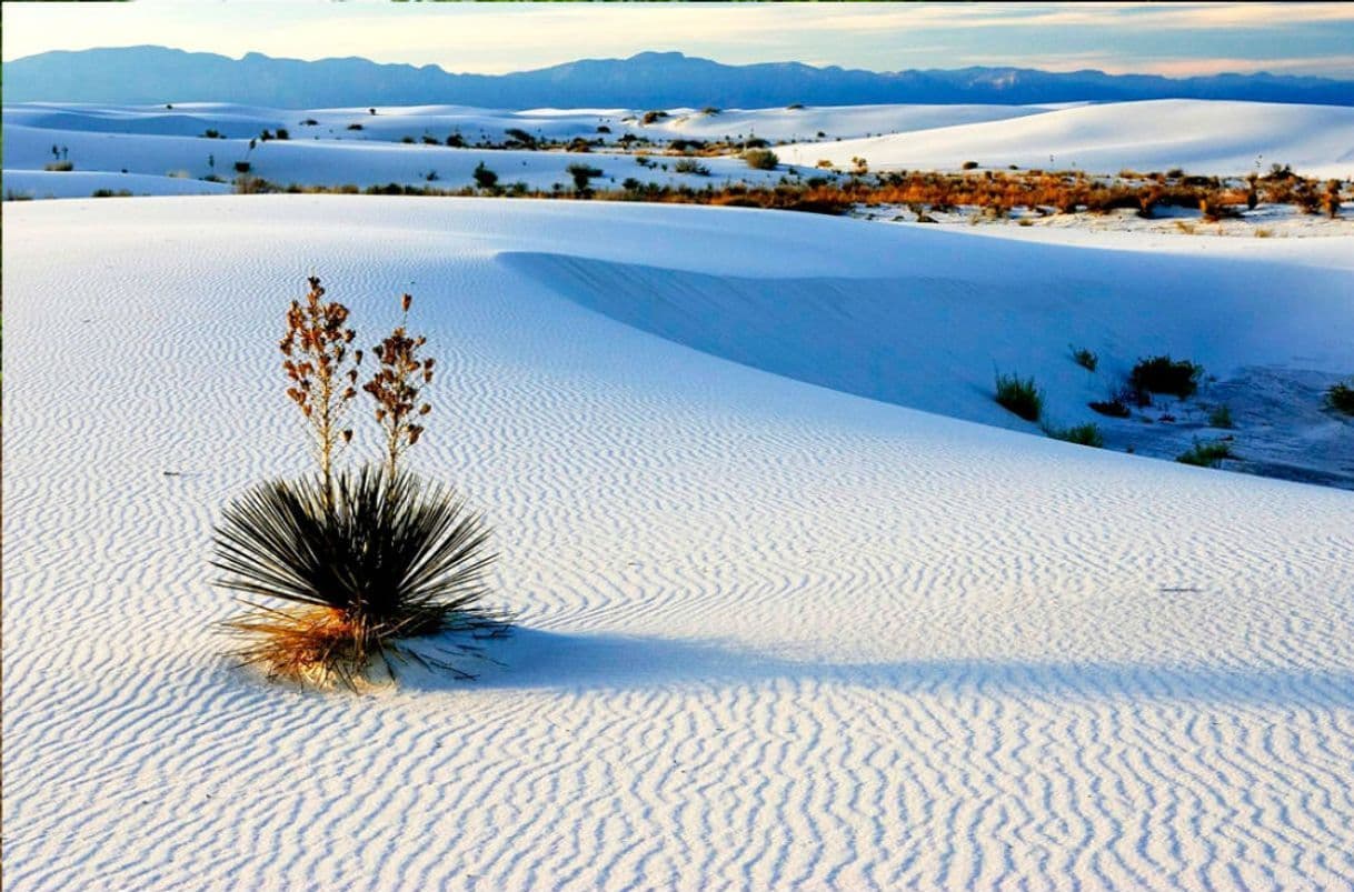 Place Dunas de Yeso