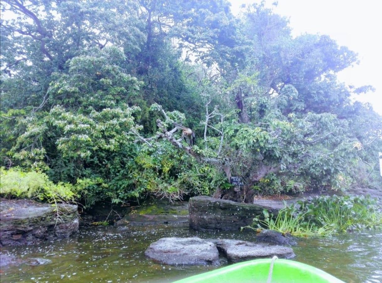 Place Catemaco