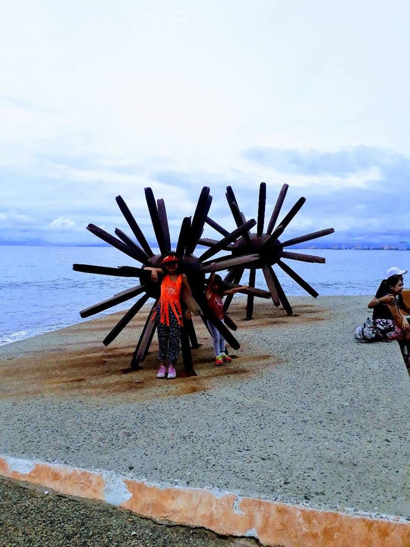 Lugar Puerto Vallarta