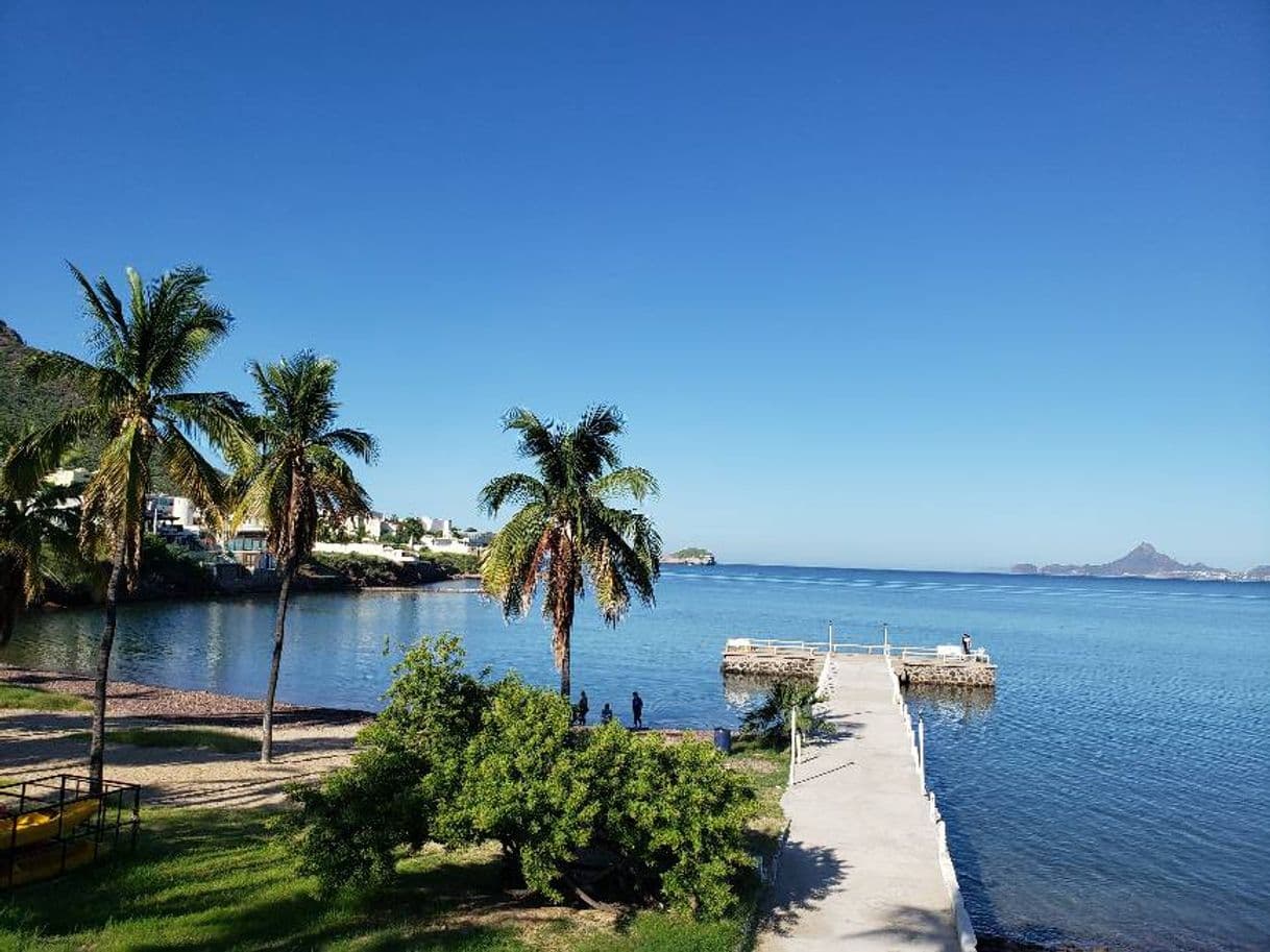 Lugar HOTEL PLAYA DE CORTES