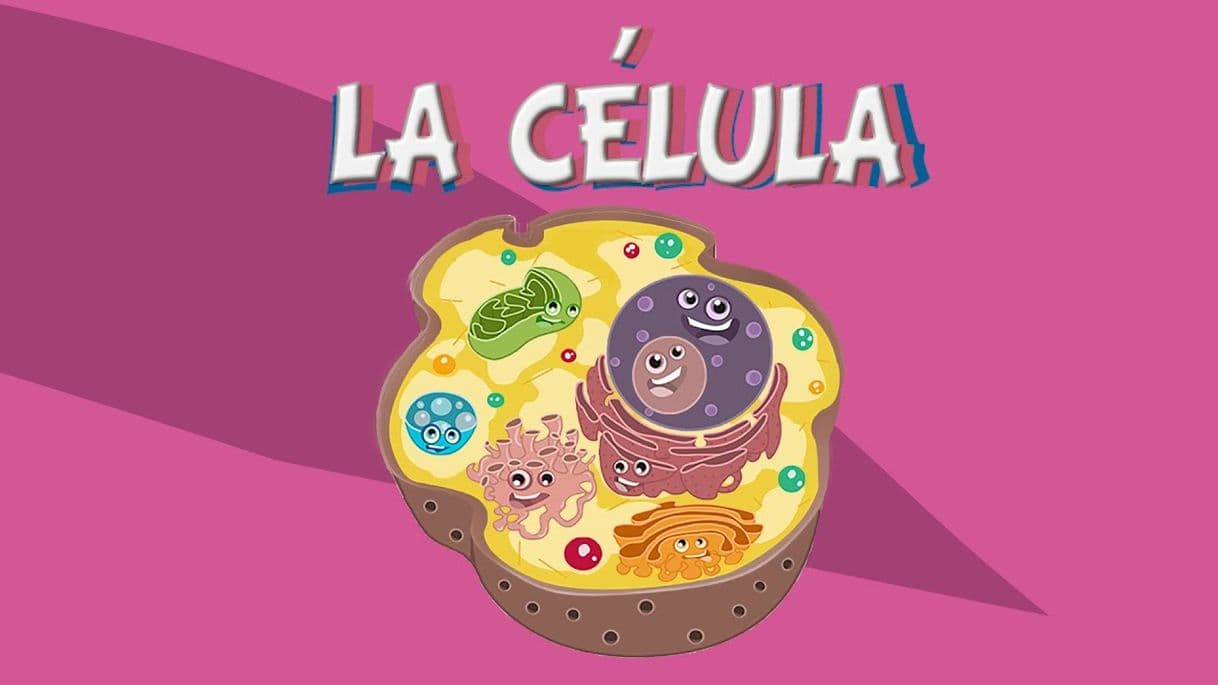 Fashion La célula y sus partes. Vídeos educativos para niños🍀🔬🔮