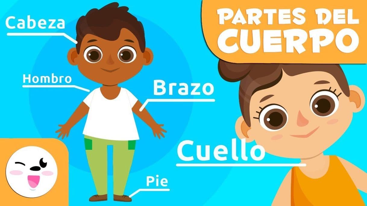 Fashion Las partes del cuerpo humano para niños Vídeos educativos⛹‍