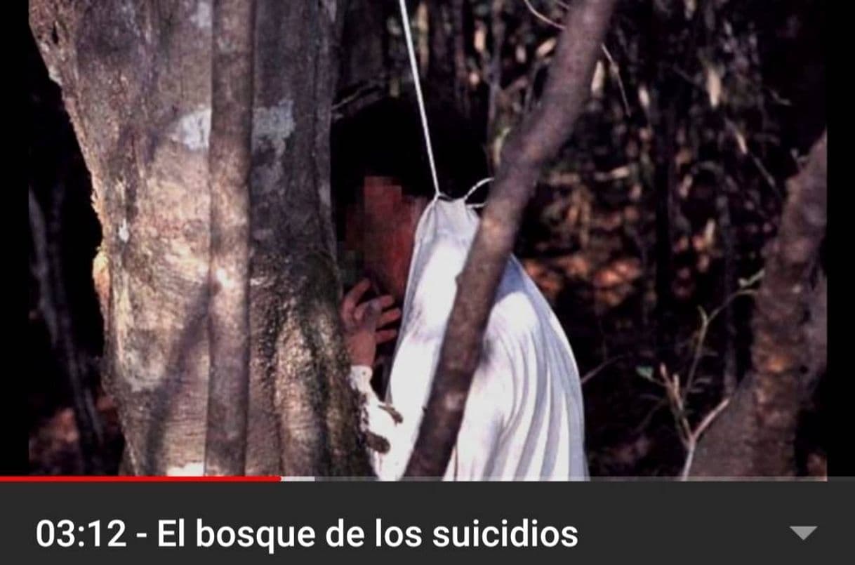 Fashion 03:12 - El bosque de los suicidios