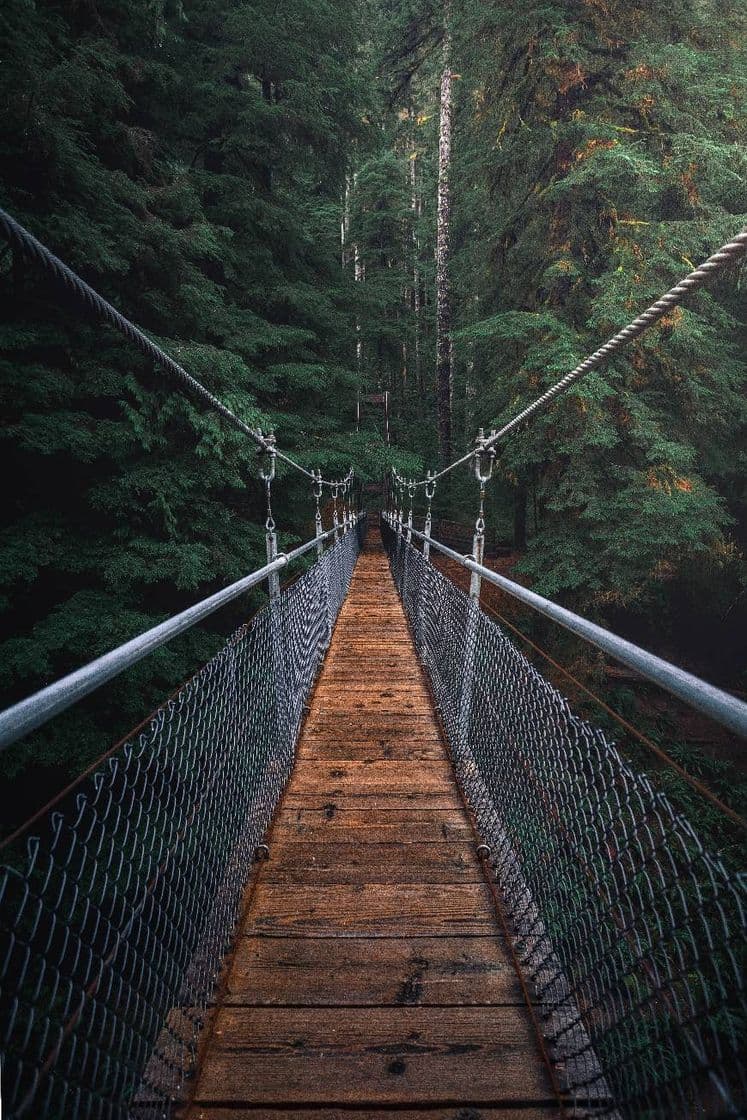 Lugar Capilano Suspension Bridge