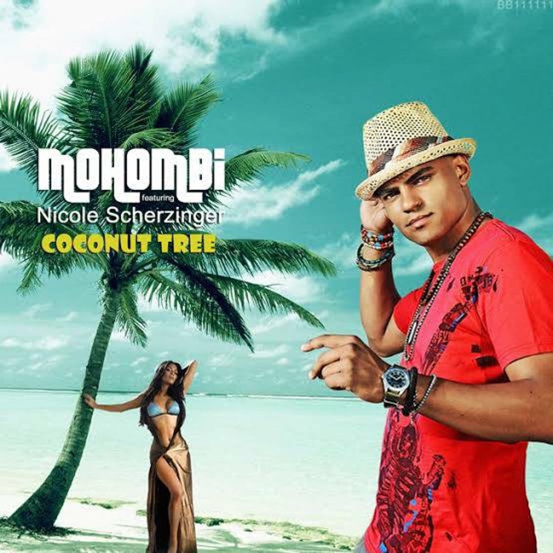 Canción Coconut tree - mohombi