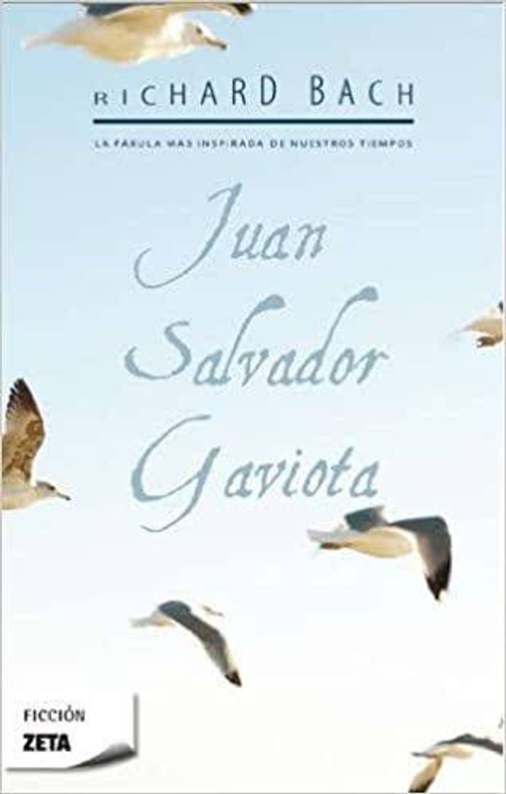 Libro Juan Salvador gaviota (libro)