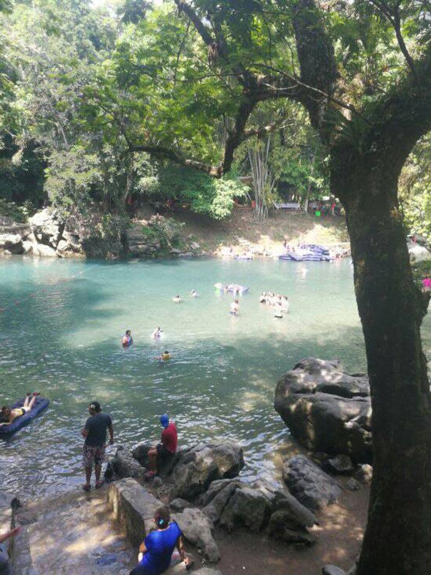 Place El nacimiento de Tamuin