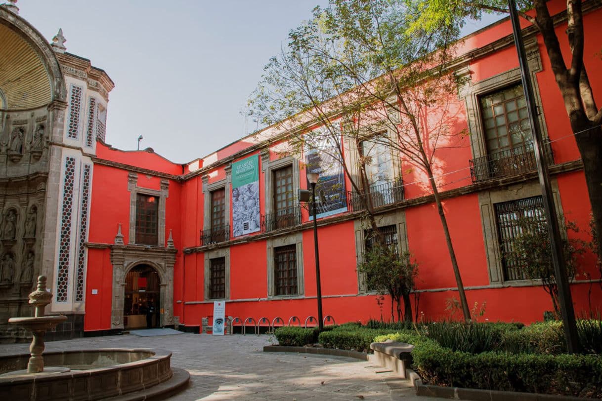 Place Museo Franz Mayer