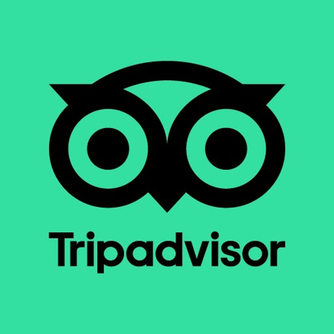 Place TripAdvisor 