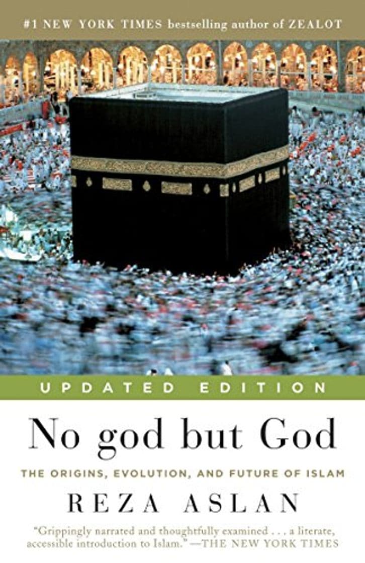 Book No God But God: The Origins, Evolution, and Future of Islam