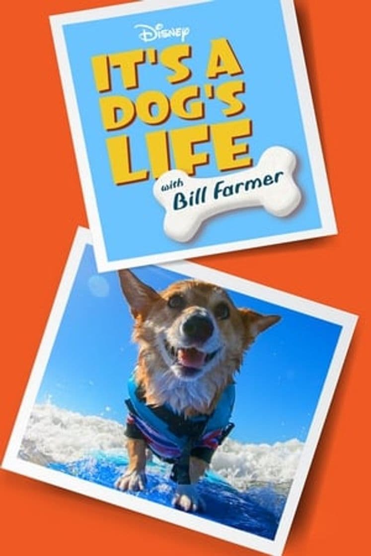 Serie It's a Dog's Life with Bill Farmer