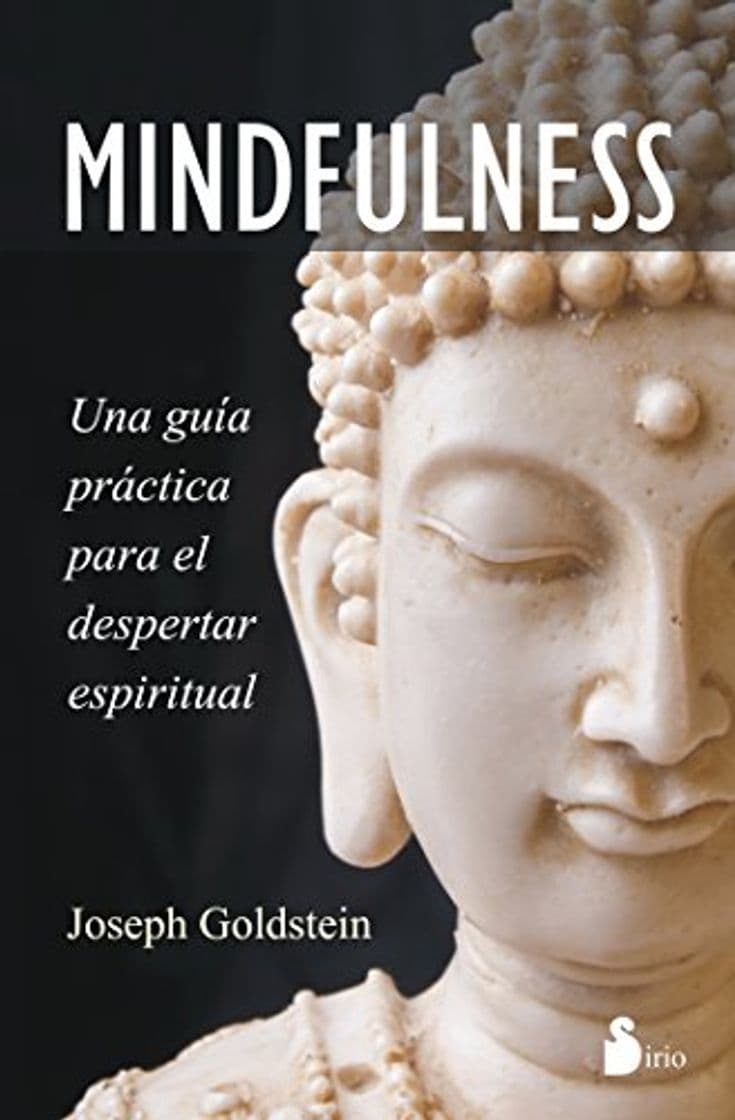 Book MINDFULNESS: Una guía práctica para el despertar espiritual