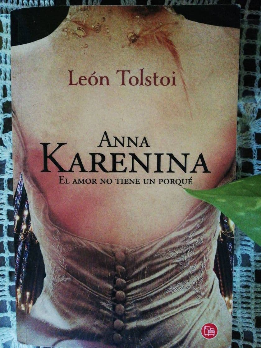 Book Ana Karenina Libro